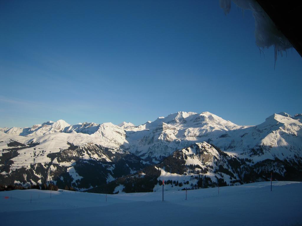 Leiterli Hotel